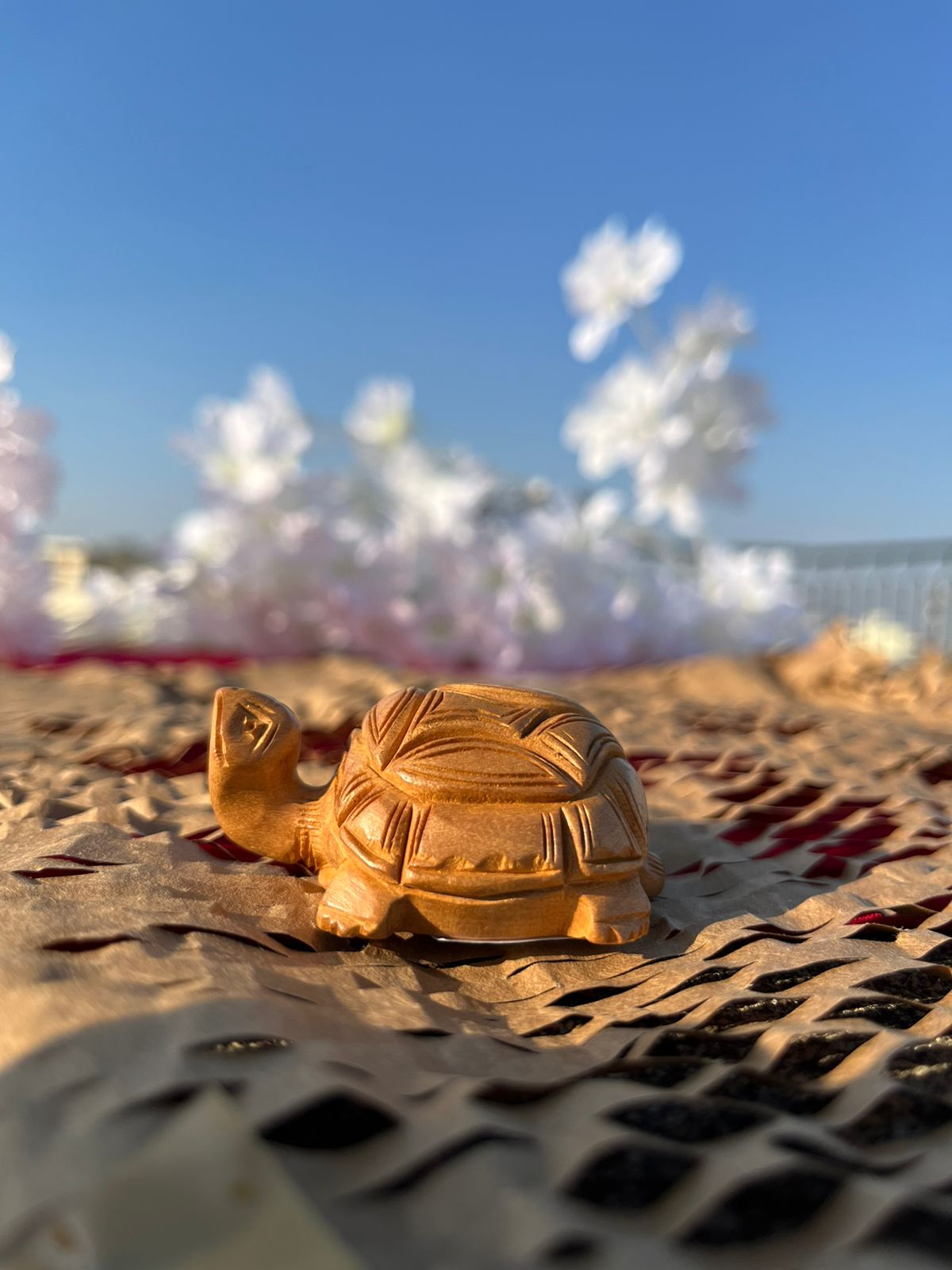 JAIPURWALA WOODEN  TORTOISE STATUE 144